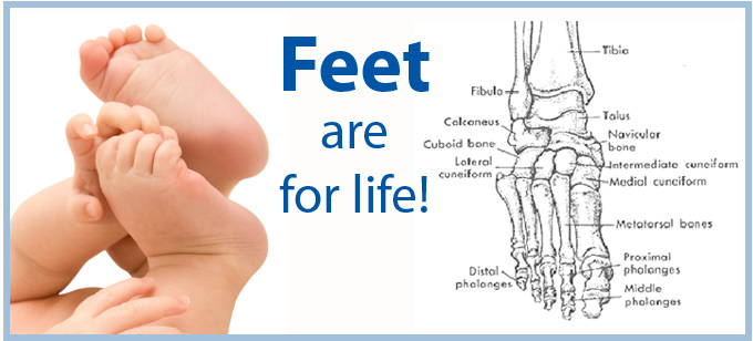 Wilson Foot Health Clinic Burlington for specialized and general foot treatment